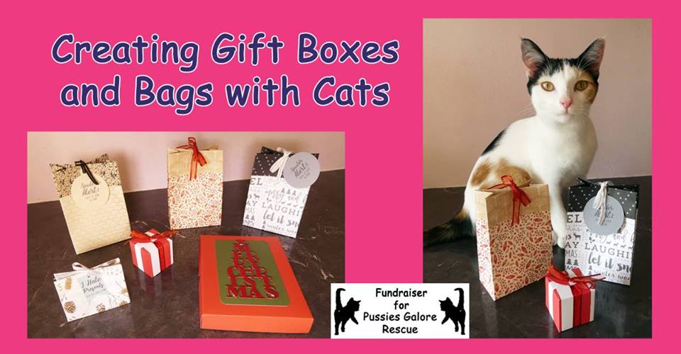 Creating Gift Boxes and Bags